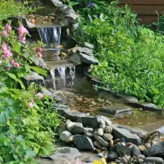 Ein kleiner, mehrstufiger Wasserfall im Garten, umgeben von üppigem Grün und rosa Blüten. Tolle wasserfall garten ideen für eine entspannende Oase.