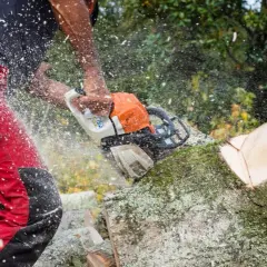 Mann in roter Hose sägt mit Kettensäge Baumstamm. Informieren Sie sich über Baum entfernen Kosten.